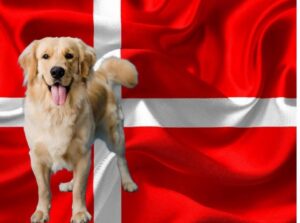 Denmark wags the dog with its new government
