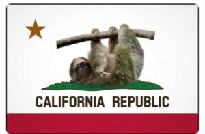 In California, every election is an SEIU election