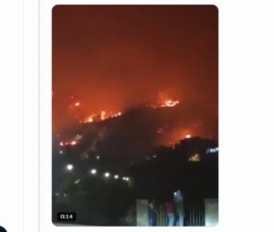 No, it’s not ‘climate change’ burning Europe: It’s the fuel